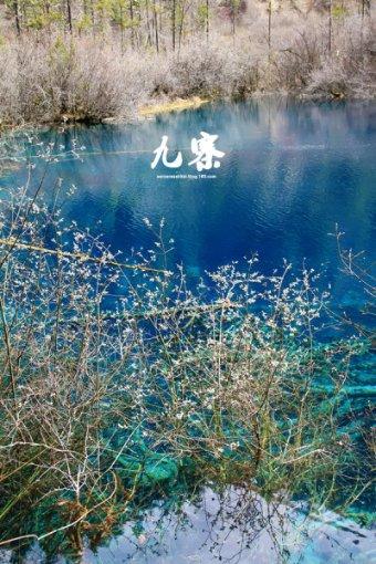 去年12月皮卡市场销量为4.8万辆